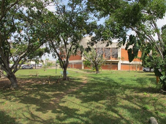 Jardin Universitario